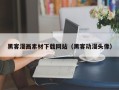 广饶黑客漫画素材下载网站（黑客动漫头像）