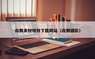 广饶白鹅素材特效下载网站（白鹅摄影）